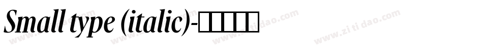 Small type (italic)字体转换